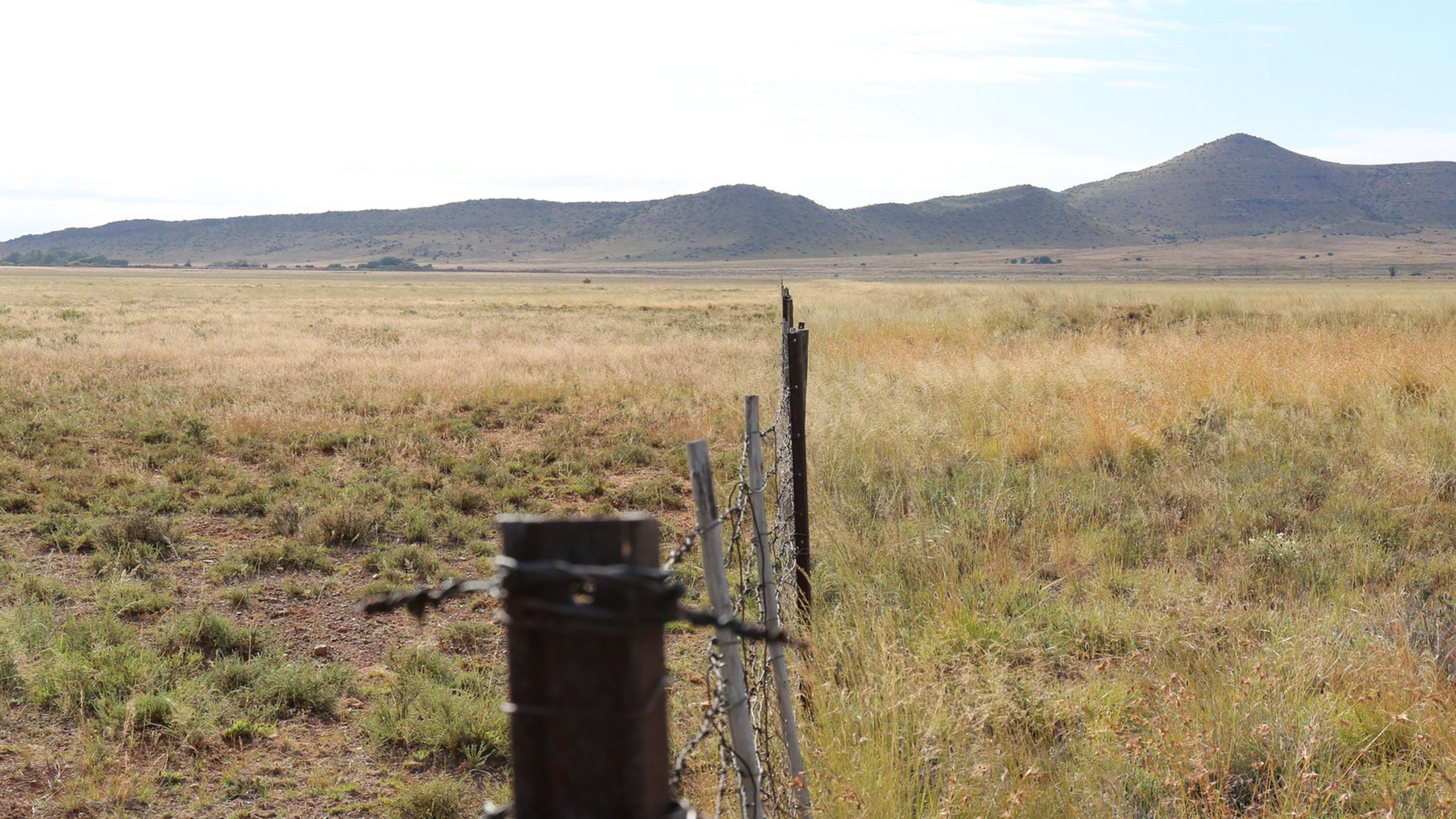 6655fc70feff5f5a1972aa037624ca