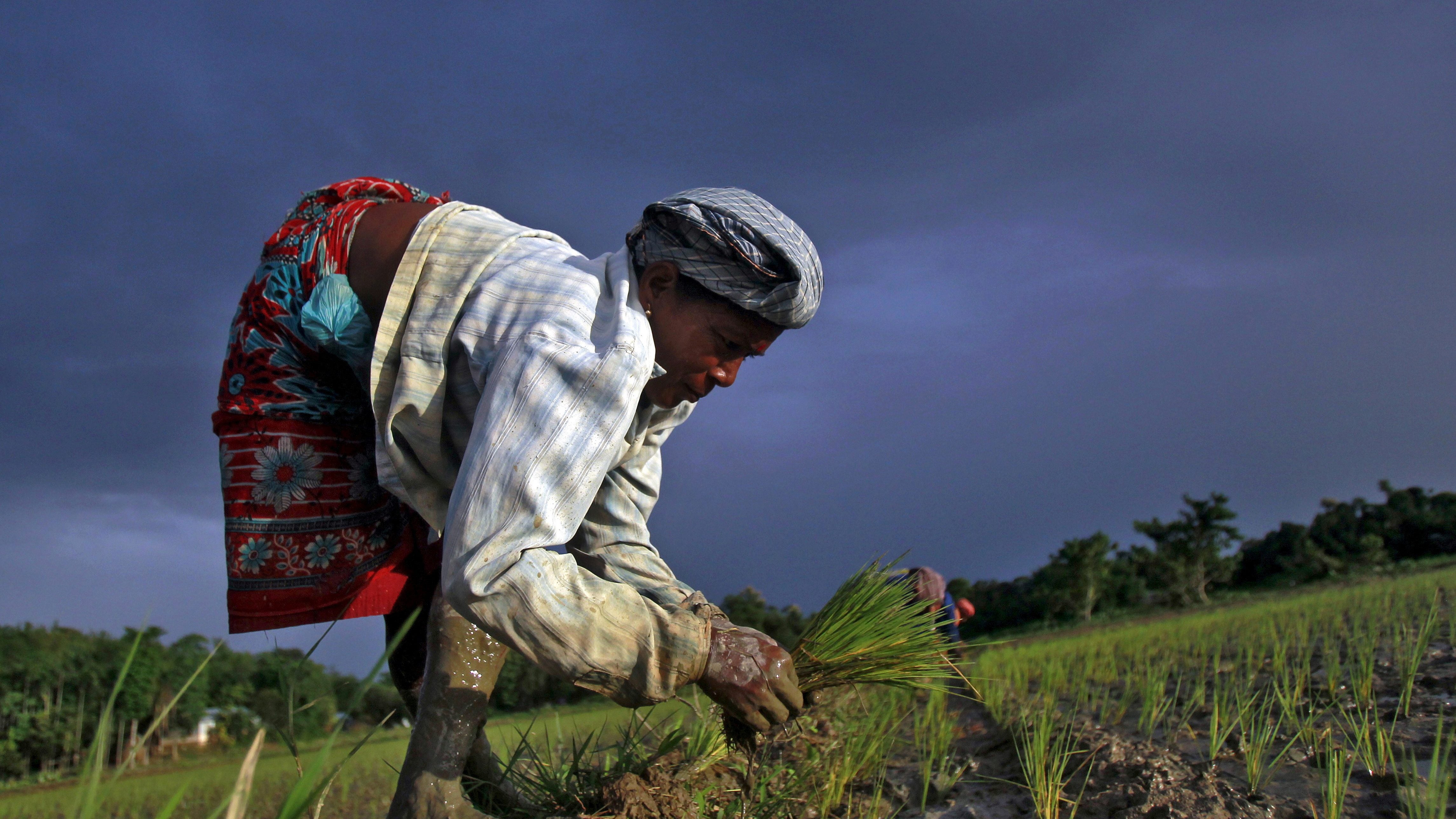 Why are India's farmers protesting? It's economics—but also politics