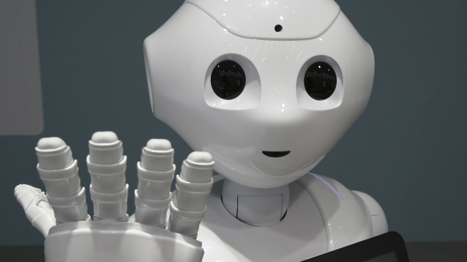 The next generation of Indian politicians could be robots