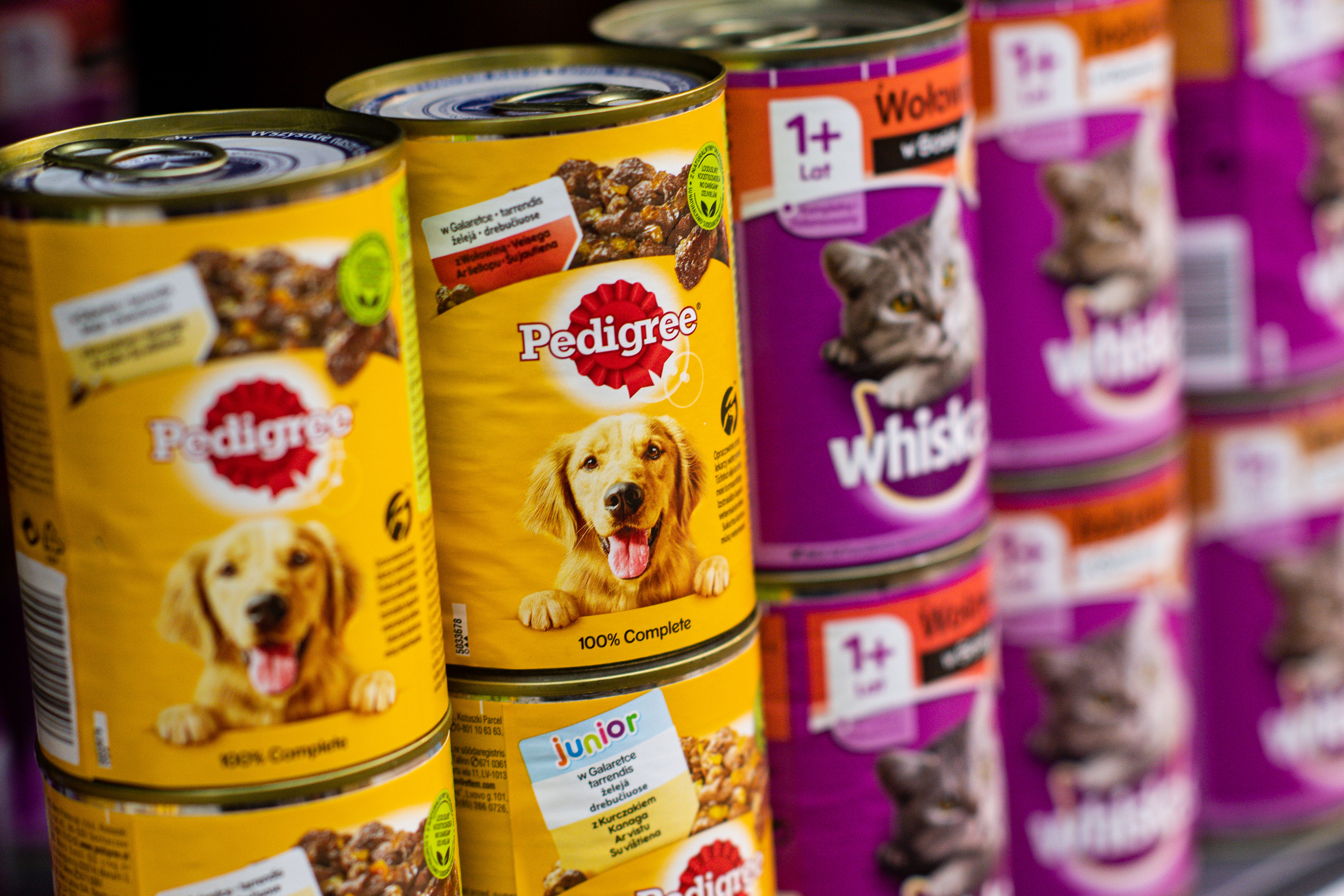 Pedigree dog food recalled after fraudulent sale of destroyed cans