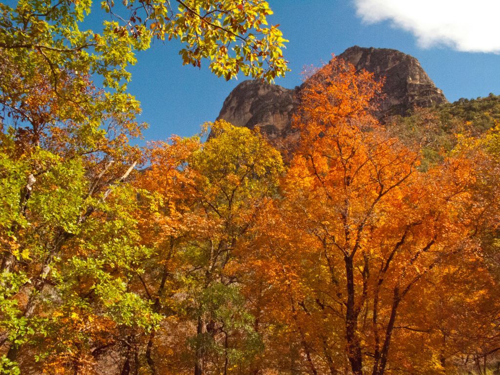 Los mejores parques nacionales de EE. UU. para ver el follaje de otoño, image size:1024x768