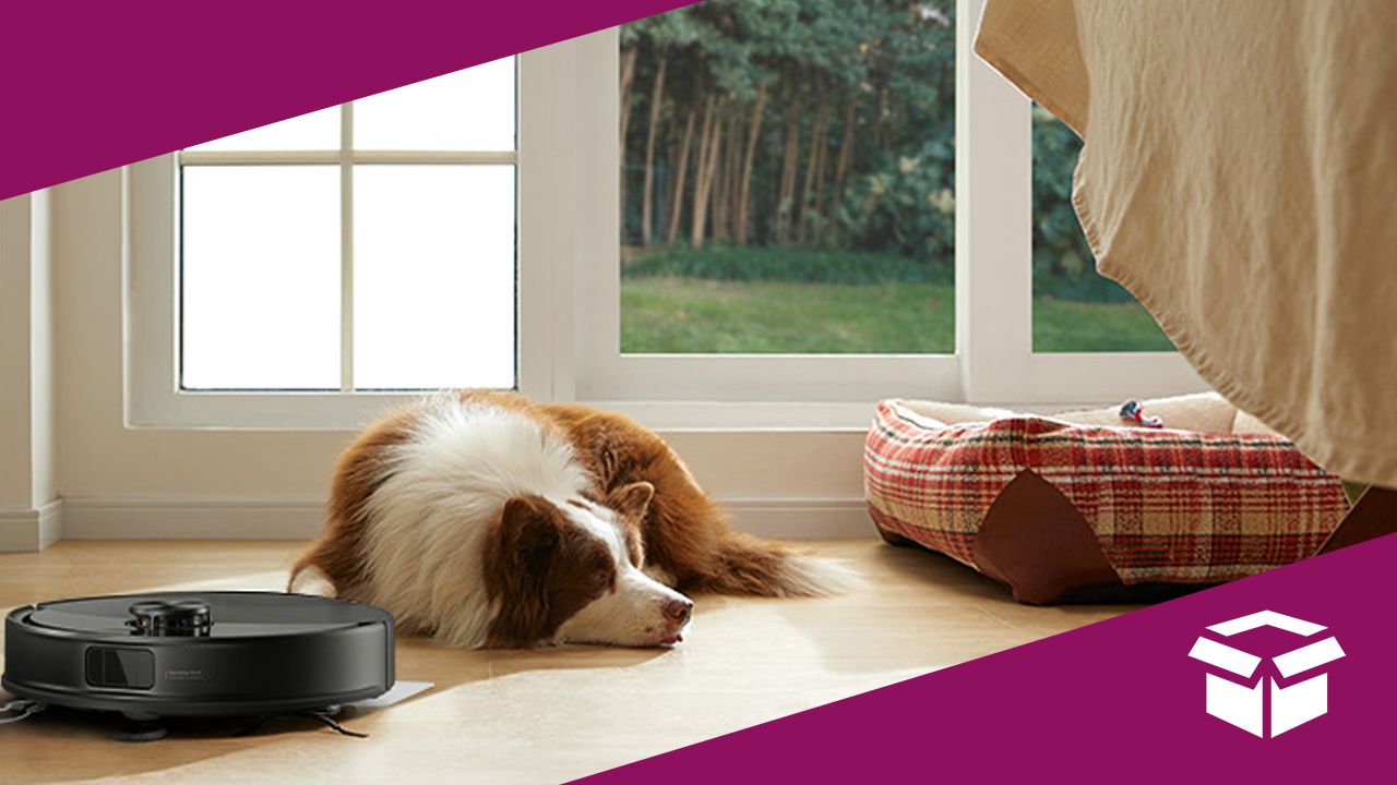 Which Roborock Robot Vacuum is Best for Homes With Pets? Top Picks