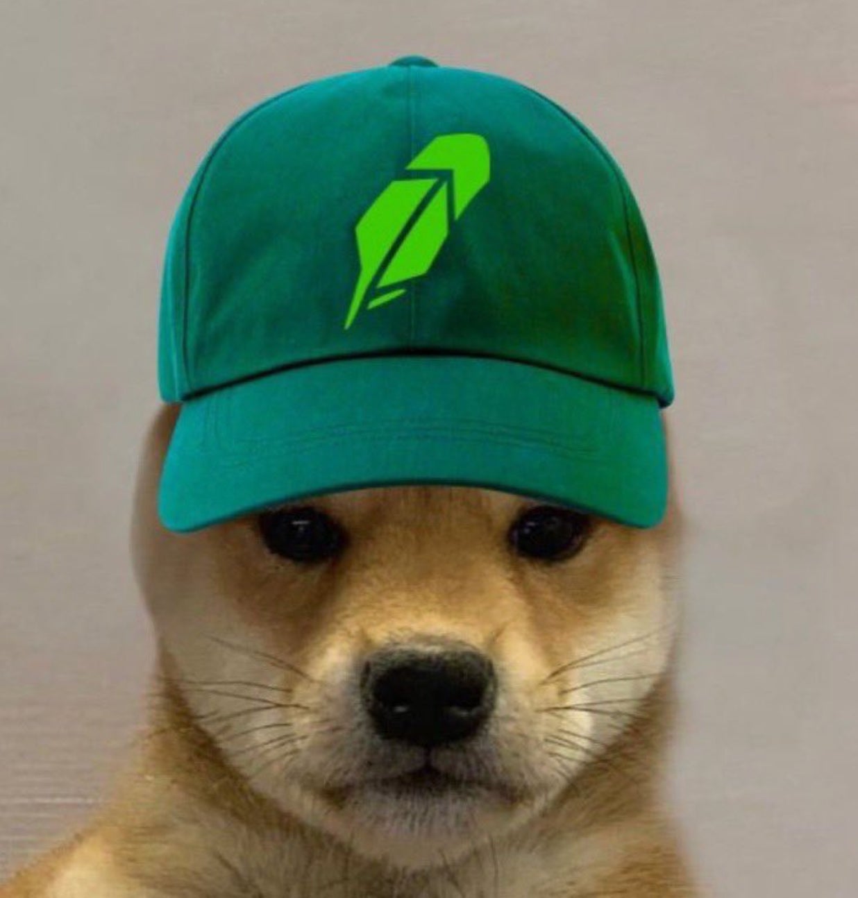 Las memecoins vencieron a estas empresas tecnológicas del Nasdaq en su  propio juego: así es como