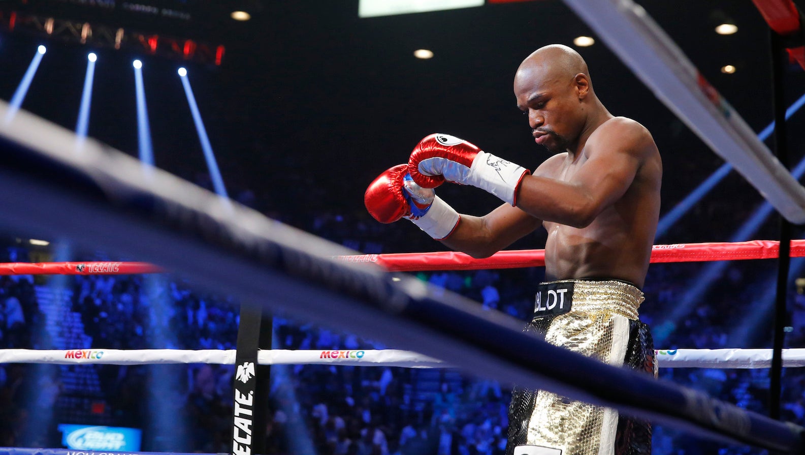 What Size Boxing Gloves Does Mayweather Use: Ultimate Guide Revealed