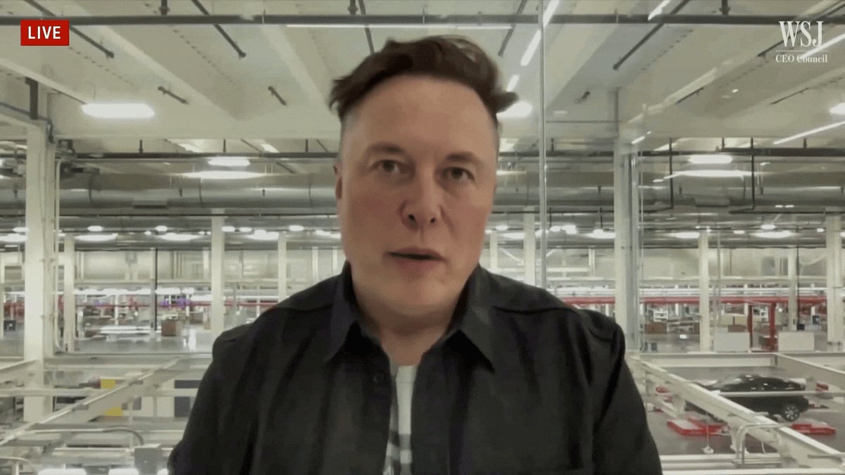 Kopie von Hier sind einige brutale Geschichten von Menschen, die von Elon  Musk betrogen wurden
