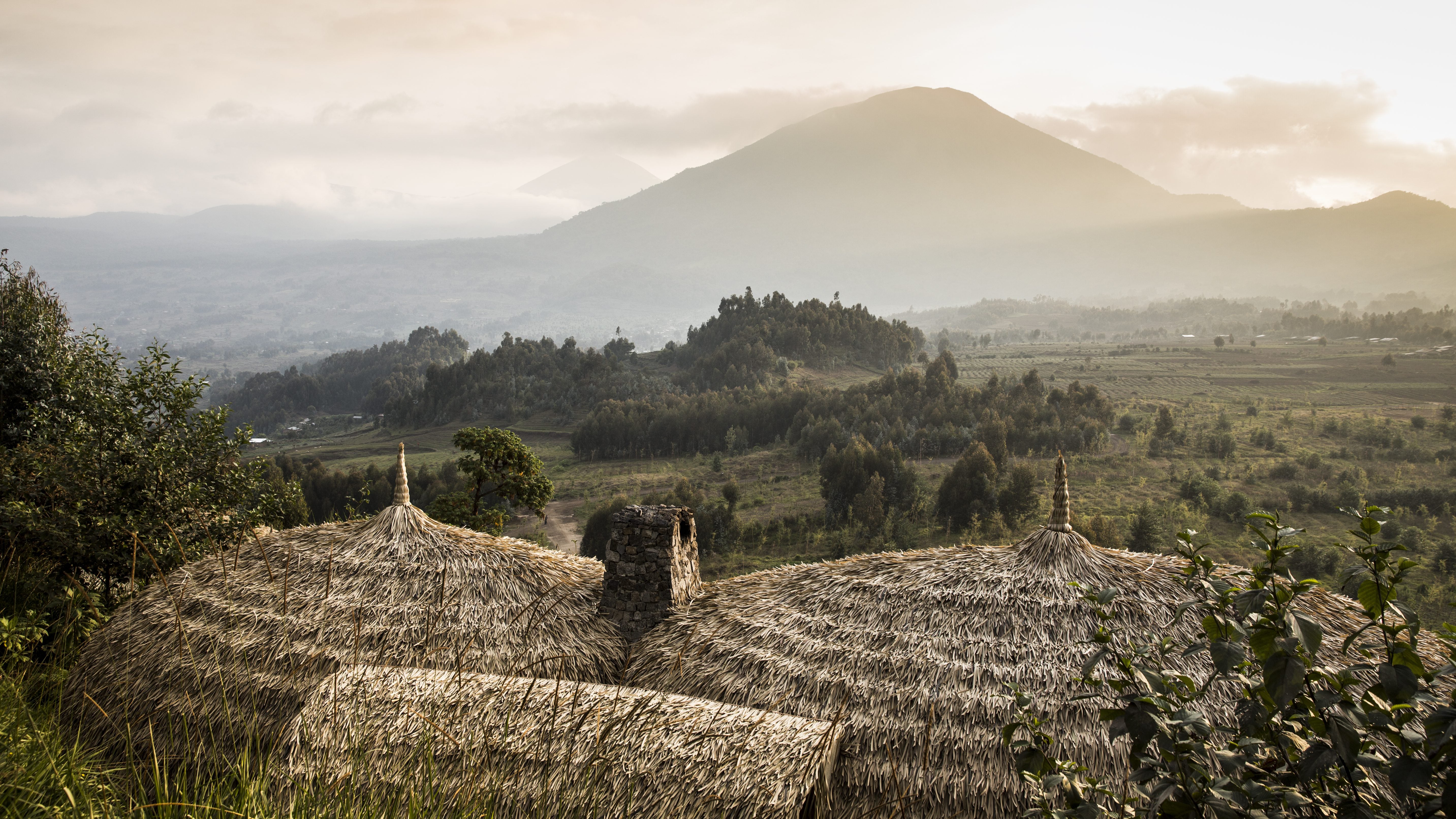 Rwanda's newest luxury ecotourism property has a plan for saving endangered  mountain gorillas